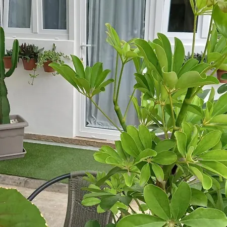 Apartment Welcome Garachico (Tenerife)